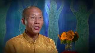 Discover Qigong for Health and Happiness [upl. by Annoit]