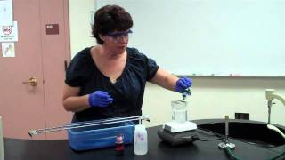 How to Perform an Endospore Stain [upl. by Jemine426]