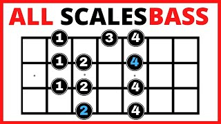 ✅ Bass Guitar Scales for Beginners 💥【All You Need to Know】✅ Bass Scales Patterns [upl. by Alyaj]