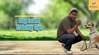 Dog Leash Training Do you use right leash to walk your dog [upl. by Arleen886]