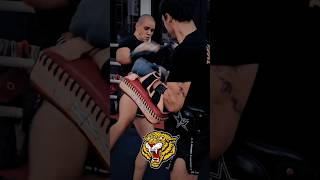 Tigar Cikatic brankocikatic shorts muaythai kickboxing [upl. by Kelson]