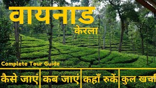 Wayanad Tour Plan amp Budget in Hindi  Wayanad Tourist Places  Wayanad Trip Complete Info in Hindi [upl. by Rhys]