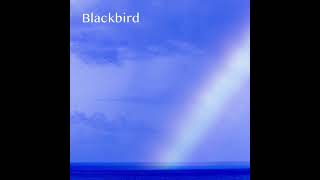 IMEHA  Blackbird Cover official audio [upl. by Stanly651]