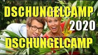 DSCHUNGELCAMP 2020 OFFIZIELLER SONG 2020 ICH KANN NICHT SCHLAFEN Radio Club Mix DSCHUNGELCAMP 2020 [upl. by Novar626]