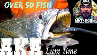 Nonstop action with plastics jewfish flathead [upl. by Sibeal]