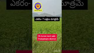 36 Acres land sale  prakasham district  Acre 7 lakhs only [upl. by Anitnemelc]