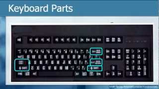 Learn THE KEYBOARD Techniques  Basic Personal Computer Tutorials How to [upl. by Otineb171]