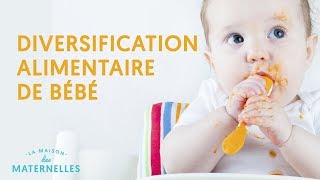 La diversification alimentaire de bébé [upl. by Grissom504]