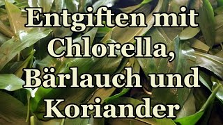 Natürlich Schwermetalle entgiften mit Chlorella Bärlauch und Koriander  Tinktur selber herstellen [upl. by Yenobe420]