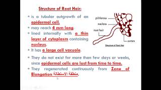 Episode 1 chapter 1 Nutrition in living organisms [upl. by Lorimer]