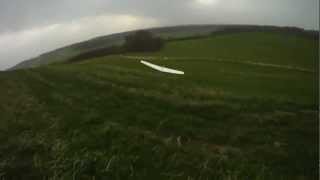 RC Wiesel 120 cm flying wing [upl. by Giraud623]