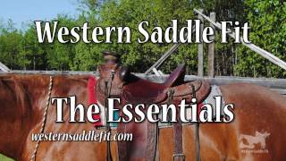 Western Saddle Fit  the Essentials [upl. by Esinnej]