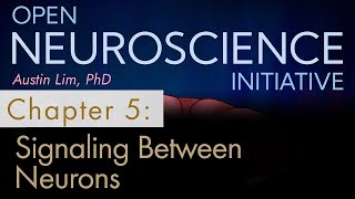 quotSignaling Between Neuronsquot Chapter 5  Open Neuroscience Initiative Free audiobook [upl. by Winshell411]