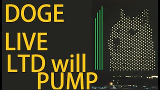 Live DOGECOIN and Alts Charts Before Donald Trump is Announced President of the United States [upl. by Mundford]