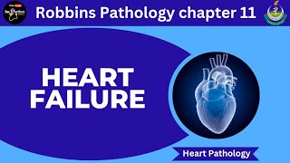 Heart Failure Robbins Pathology chapter 11Heart Pathology pathology robbins heart mbbslectures [upl. by Llennyl]