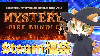 【Steam福袋】Fanatical Mystery Fire Bundleを10本開封だ [upl. by Stanwood]