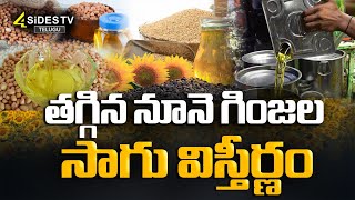 తగ్గిన నూనె గింజల సాగు విస్తీర్ణం  Oil Farming  Special Drive  4SidesTvTelugu [upl. by Lytsirk]