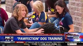 Pawfection therapy dog training [upl. by Retse505]