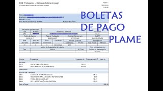 Como imprimir las boletas de pago del PLAME 2023  SUNAT [upl. by Cirad227]