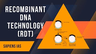 Process of Recombinant DNA Technology rdt  Recombinant DNA Technology [upl. by Alaek]