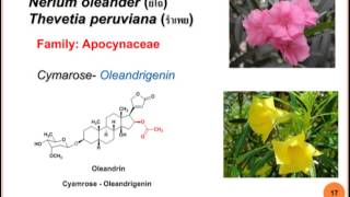 Medicinal Chemistry of Cardiac glycosides and Dobutamine for CHF part I [upl. by Anitnas]