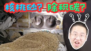 「撸车问答」核桃变成汽车用品？师兄详解核桃砂除积碳原理，竟是宝马发明的 [upl. by Ellinej]