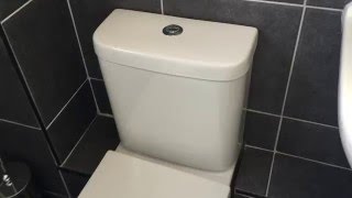 HOW TO USE A Toilet Flush Button  How to flush a toilet [upl. by Gnem]