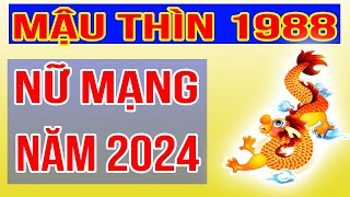 Xem Tử Vi Nữ Mạng Tuổi Mậu Thìn 1988 Năm 2024 Giáp Thìn [upl. by Gleeson]