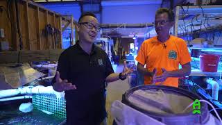 Kalkwasser Dosing  ACI Aquaculture Method Part 2 [upl. by Cacie]