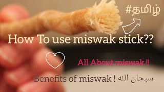 How to use miswak stick   Amazing Benefits of using miswak ✨ Allaboutmiswak தமிழ் roshan [upl. by Isnam]