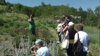 Lorto al Giardino di Pimpinella [upl. by Eelessej812]