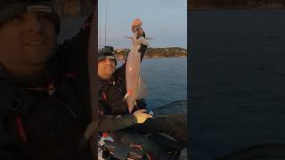 🔵TIP RUN en KAYAK 🔵 tiprun kayakfishing eging calamar señuelos [upl. by Dduj]