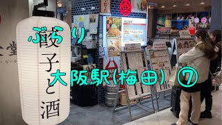 大阪・梅田 大阪駅周辺キタでぶらり食べ飲み歩き、散策。 [upl. by Newcomb589]