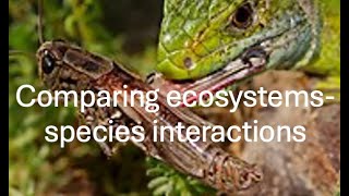 Comparing ecosystems  species interactions [upl. by Dublin14]