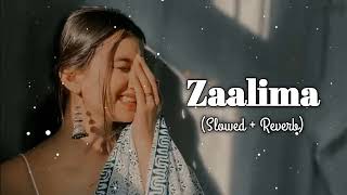 Zaalima SlowedReverb  Arijit Singh  Lofi Songs  zaalima slowed and reverb song [upl. by Eveline]