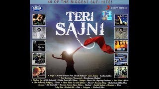 Sajni ho new song by Master saleem [upl. by Anotyal]