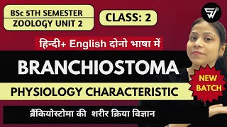 Amphioxus or Branchiostoma Physiological Characteristics BSc 5th SemUnit 2 [upl. by Adnima]