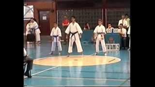 Heian Godan Kata y Bunkai Shotokan 2005wmv [upl. by Anitsihc]