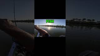 Quick Tips For Catching More Fish fishing shorts tangledlinez [upl. by Deehsar]