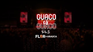 GUACO ES GUACO  Pa ti [upl. by Swenson]