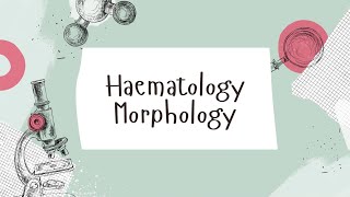 Haematology Morphology  Case 3 [upl. by Llewop]