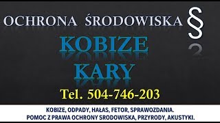 Raport do Kobize termin i kary tel 504746203 Wykonanie i sporządzenie sprawozdania [upl. by Larrad672]