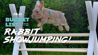 The Worlds Cutest Sport  Rabbit Show Jumping [upl. by Eilyac498]