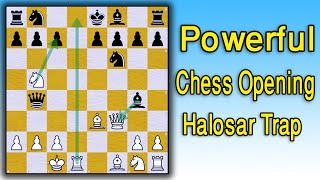 The Most Powerful Chess Opening  Halosar Trap [upl. by Mauri646]