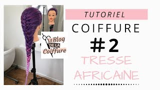 Tutoriel Coiffure 2 Tresse Africaine [upl. by Tewell]