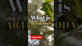 What is Arthropoda shorts facts biology [upl. by Ahsat]