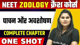 DIGESTION AND ABSORPTION In 1 Shot  हिन्दी माध्यम  Complete Chapter  पाचन और अवशोषण [upl. by Nedrah]