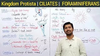 73 Kingdom protista  Ciliates and Foraminiferans and actinopods  Fsc biology class 11 [upl. by Licha]