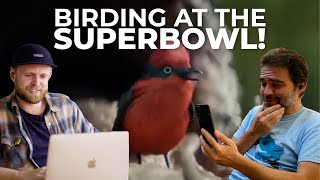 Reacting to the Birding Super Bowl Commercial  Cheep [upl. by Brinn215]