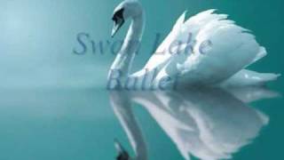 Swan Lake Ballet Tchaikovsky  Act IV XXVIII Scene amp XXIX Finale [upl. by Feetal]